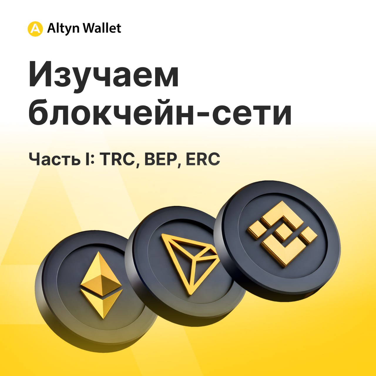 Отличия блокчейн-сетей